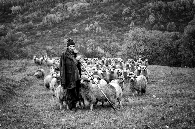 Mircea Brânda - Untitled.jpg